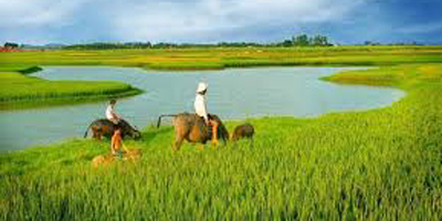 MỘT DÂN TỘC BỊ THÔI MIÊN BỞI THỂ CHẾ